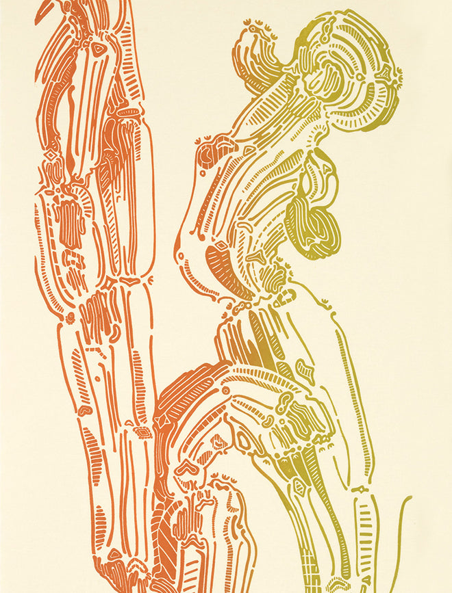 Artist image